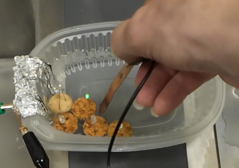 A light emitting diode did lid up using a copper plate.