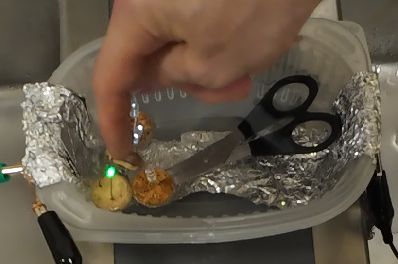 Something heavy can hold the aluminum foil down in order to avoid it to touch any diode.